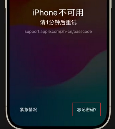 伊川苹果手机密码维修分享iPhone忘记了刚设置的密码 